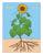 Three Sisters Plant Posters