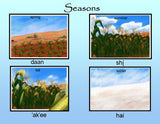 Four Seasons Poster