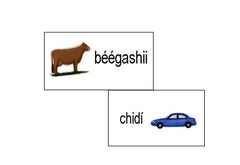 Vocabulary Cards - Basic Set